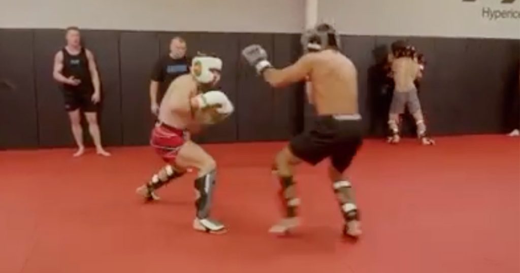 Conor McGregor en sparring avec un élève sur le TUF, il lui envoie un violent uppercut 