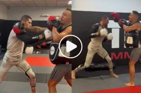 alex-pereira-ufc-mma-ufc-287-vidéo