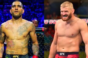 Alex-Pereira-Jan-Blachowicz-UFC-MMA