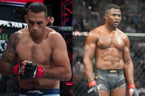 fabricio-werdum-francis-ngannou