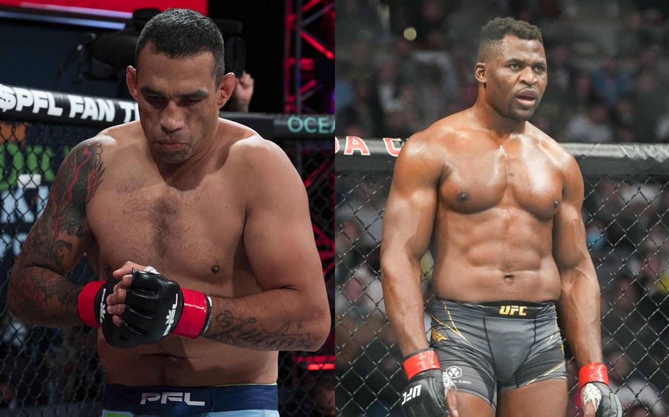 fabricio-werdum-francis-ngannou