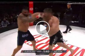 ko-ufc-roy-nelson-bare-knuckle-vidéo