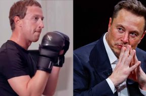 MMA-Elon-Musk-Mark-Zuckerberg-UFC