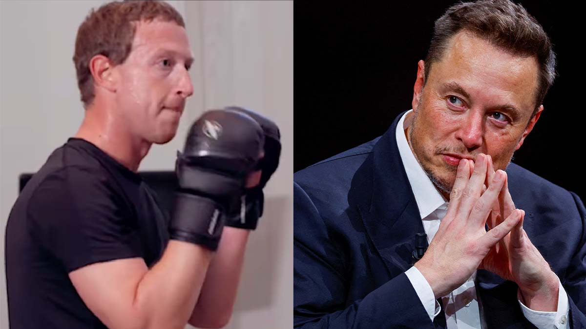Elon Musk et Mark Zuckerberg se chauffent, ils veulent s'affronter en MMA