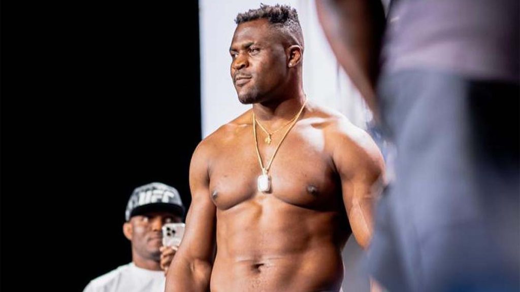 Voici qui Francis Ngannou pourrait battre en boxe pro