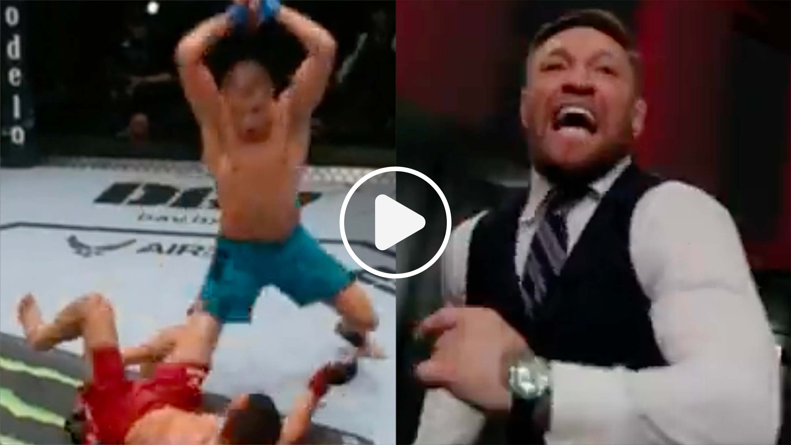 Conor McGregor explose de joie quand son élève claque un gros KO sur le TUF 31