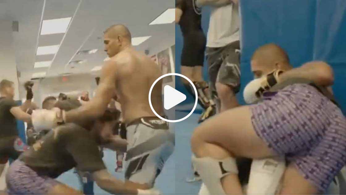 alex pereira dillon danis