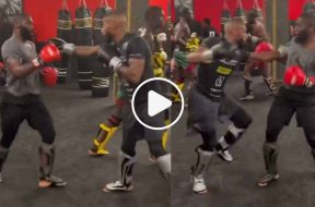 cedric-doumbe-salahdine-parnasse-sparring-mma-video