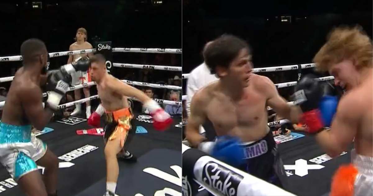 boxe survivor tag