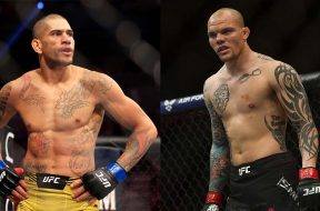 Alex-Pereira-Anthony-Smith-UFC-MMA