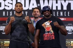 dillian-whyte-anthony-joshua-boxe