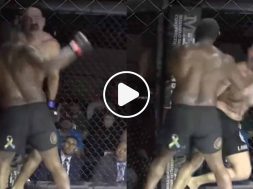 KO-brutal-MMA