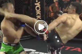 MMA-KO-Kick-Vidéo