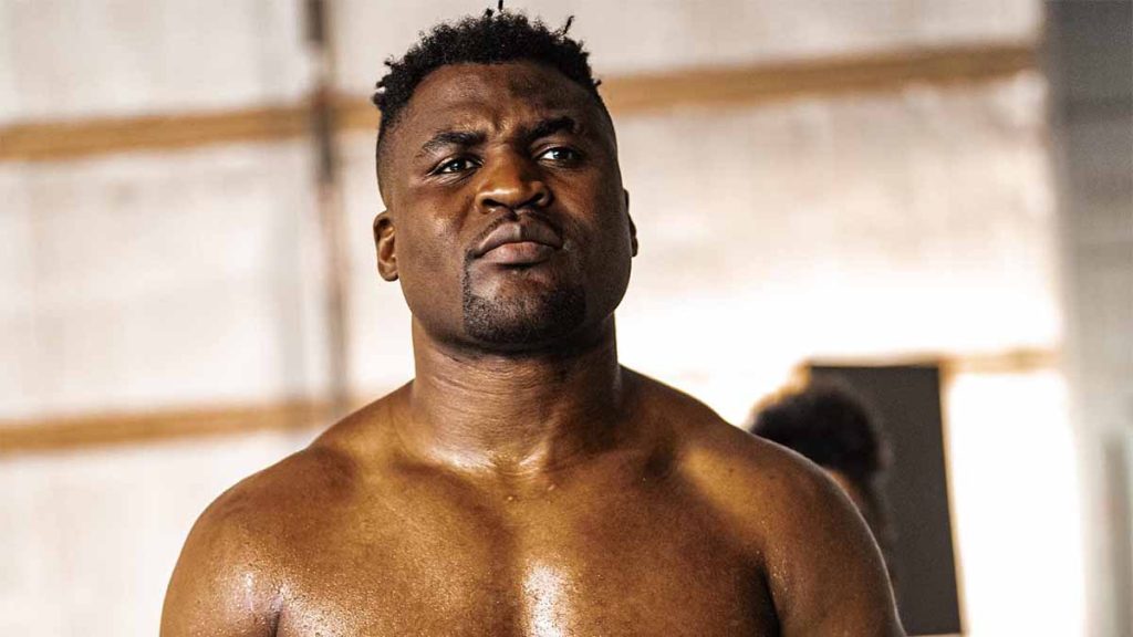Francis Ngannou tuerait Tyson Fury en MMA