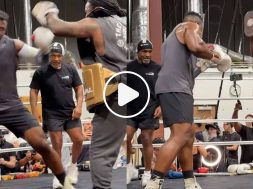 mike-tyson-francis-nagnnou
