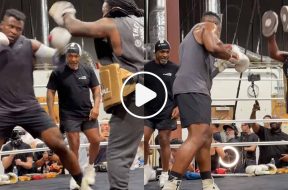 mike-tyson-francis-nagnnou