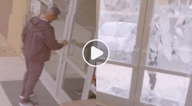 Francis-Ngannou-puissant-MMA-Boxe-Vid&eacute;o