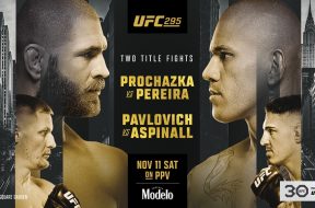 UFC 295