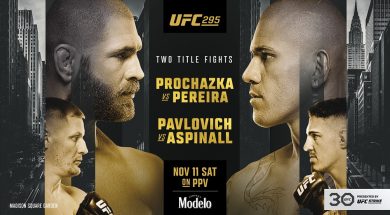 UFC 295