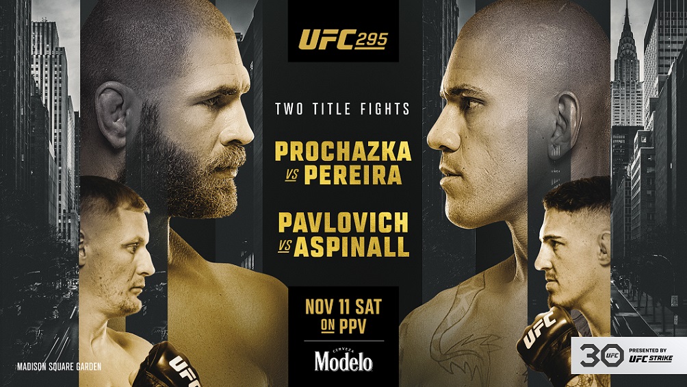 UFC 295