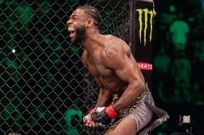 aljamain-sterling-conseils-ufc