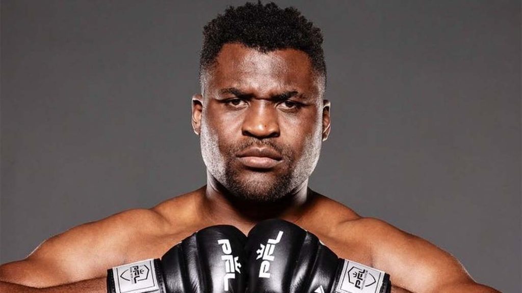 Francis Ngannou défié par un vétéran de l'UFC