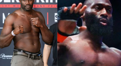 Cheick-Kongo-Cédric-Doumbé-avis