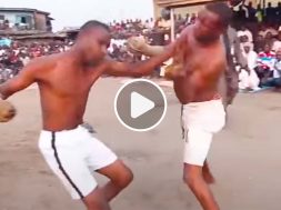 Compilation-KO-Dambe-MMA-Vidéo