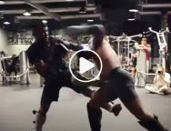 conor-mcgregor-mma-sparring-vidéo