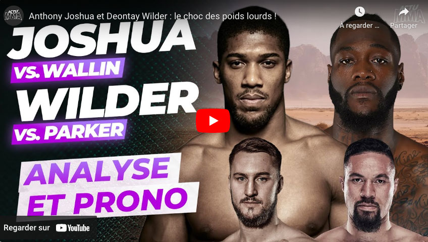 joshua wilder boxe 