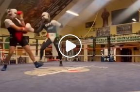 Conor-McGregor-affiche-son-striking-lors-d-un-sparring