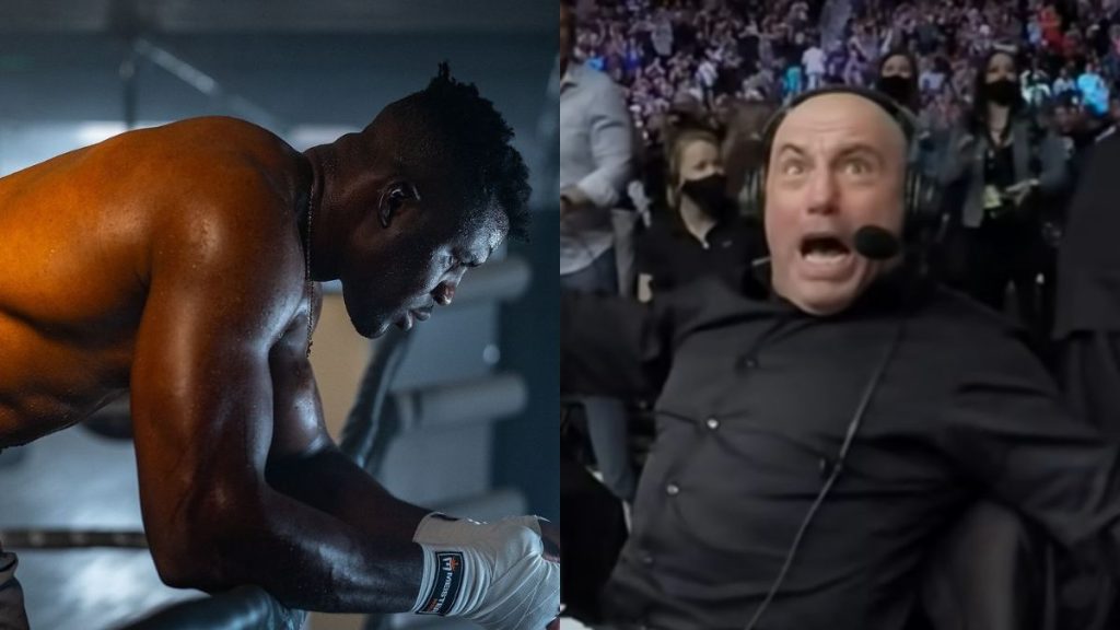 Le commentateur de l’UFC Joe Rogan a révélé que le record de puissance de Francis Ngannou a été battu. L’UFC ne veut pas dévoiler le score de ce combattant qui est un poids moyen. 