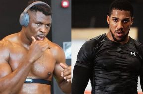 Francis-Ngannou-Anthony-Joshua-Boxe-UFC