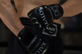 kalos-gants-boxe-mma-equipement