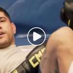 Vrai ou canular ? Le KO viral d'Alex Pereira à l'entraînement