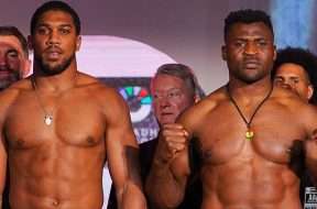 Joshua-Francis-Ngannou-MMA-Boxe-UFC