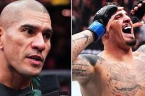 alex-pereira-tom-apinall-ufc-mma