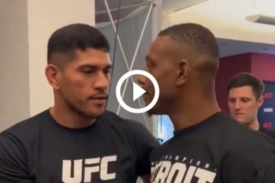 Alex-Pereira-et-Jamahal-Hill-en-face-a-face-avant-UFC-300-decouvrez-echange.jpg