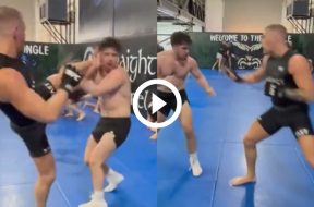 Conor-McGregor-envoie-des-énormes-kicks-en-sparring