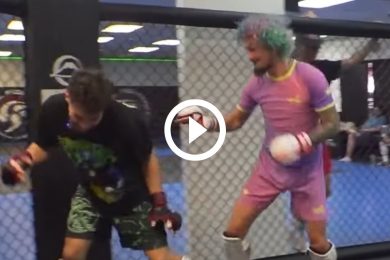 Le-champion-de-UFC-Sean-OMalley-humilie-un-c&eacute;l&egrave;bre-influenceur