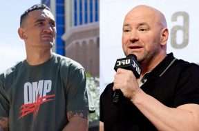 Max-Holloway-est-considere-comme-le-meilleur-featherweight-selon-Dana-White.jpg