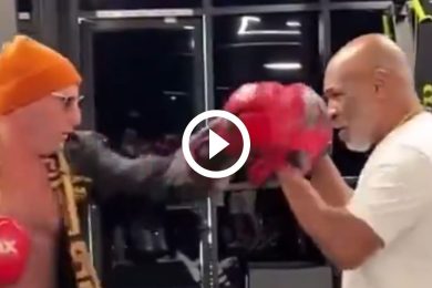 Un-fan-a-failli-se-faire-d&eacute;truire-par-Mike-Tyson-apr&egrave;s-avoir-accidentellement-frapp&eacute;-au-visage