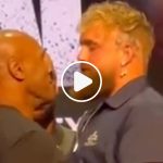 Le face à face entre Mike Tyson et Jake Paul avant leur combat de boxe