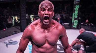 robelis-despaigne-terreur-poids-lourd-ufc