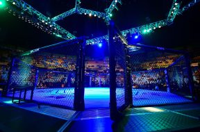 ufc-combat-boxe-silva-sonnen