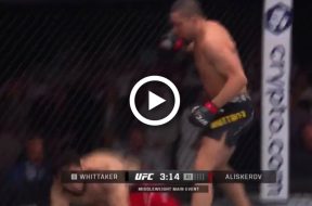 Robert-Whittaker