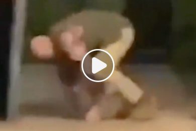 Tyson-Fury-Boxe-Vid&eacute;o