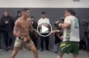 alex-pereira-tai-tuivasa-VIDEO
