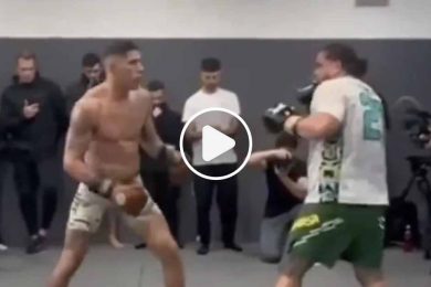 alex-pereira-tai-tuivasa-VIDEO