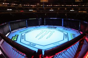 ufc-mma-rizin